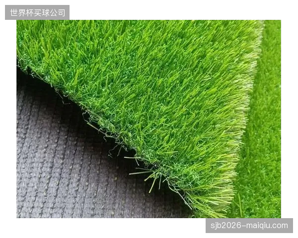 包括美国和加拿大的部分球场临时更换草皮，墨西哥队需警惕因草皮平整度问题引发的非战斗性伤病风险。